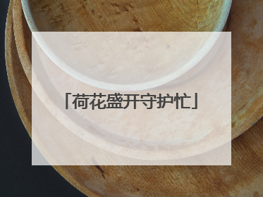 荷花盛开守护忙