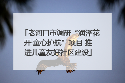 老河口市调研“润泽花开·童心护航”项目 推进儿童友好社区建设