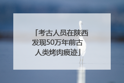 考古人员在陕西发现50万年前古人类烤肉痕迹