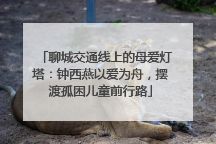 聊城交通线上的母爱灯塔：钟西燕以爱为舟，摆渡孤困儿童前行路