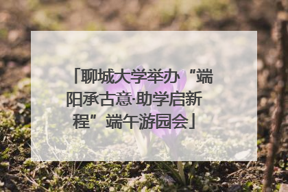 聊城大学举办“端阳承古意·助学启新程”端午游园会