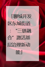 聊城开发区东城街道：“三链融合”激活基层治理新动能