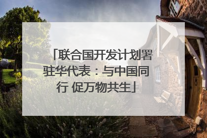 联合国开发计划署驻华代表：与中国同行 促万物共生