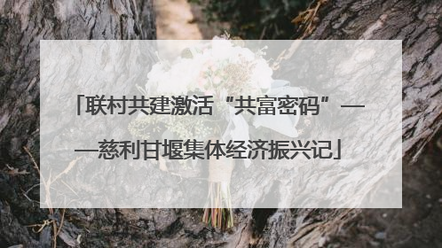 联村共建激活“共富密码”——慈利甘堰集体经济振兴记