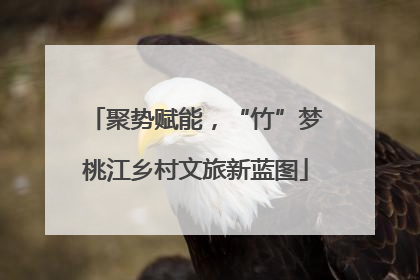聚势赋能，“竹”梦桃江乡村文旅新蓝图