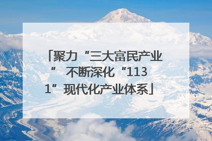聚力“三大富民产业” 不断深化“1131”现代化产业体系