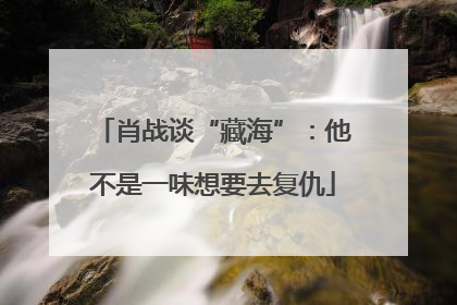 肖战谈“藏海”：他不是一味想要去复仇