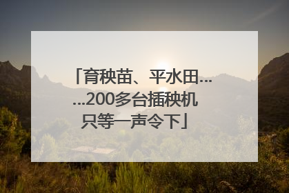 育秧苗、平水田……200多台插秧机只等一声令下