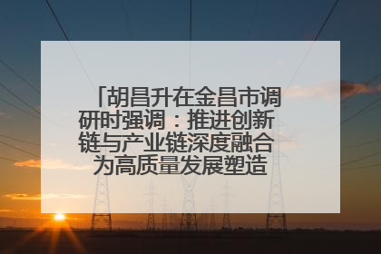 胡昌升在金昌市调研时强调：推进创新链与产业链深度融合 为高质量发展塑造新动能新优势