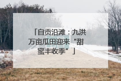 自贡沿滩：九洪万亩瓜田迎来“甜蜜丰收季”
