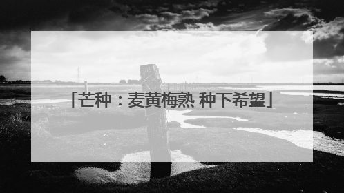 芒种：麦黄梅熟 种下希望