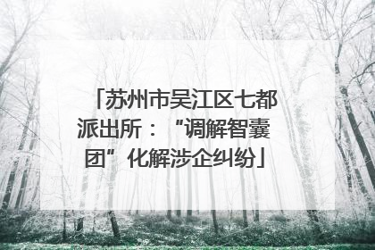 苏州市吴江区七都派出所：“调解智囊团”化解涉企纠纷