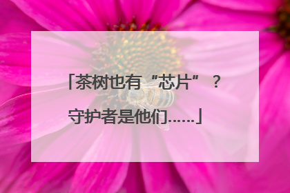 茶树也有“芯片”？守护者是他们……