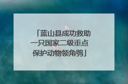 蓝山县成功救助一只国家二级重点保护动物领角鸮