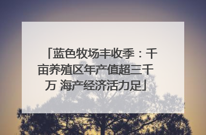 蓝色牧场丰收季：千亩养殖区年产值超三千万 海产经济活力足