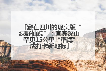 藏在四川的现实版“绿野仙踪”：宜宾深山罕见15公里“稻海”成打卡新地标