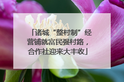 诸城“整村制”经营铺就富民强村路，合作社迎来大丰收