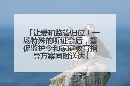 让爱和监管归位！一场特殊的听证会后，督促监护令和家庭教育指导方案同时送达