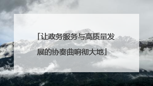 让政务服务与高质量发展的协奏曲响彻大地