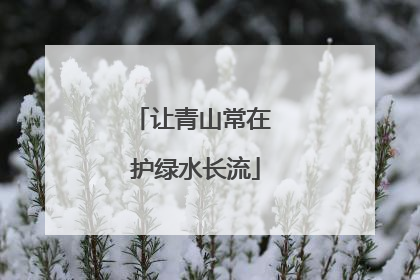 让青山常在 护绿水长流