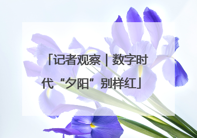 记者观察｜数字时代“夕阳”别样红