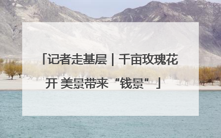 记者走基层｜千亩玫瑰花开 美景带来“钱景”