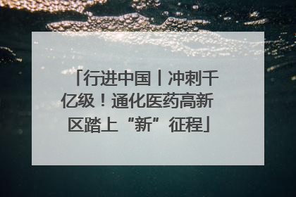 行进中国丨冲刺千亿级！通化医药高新区踏上“新”征程