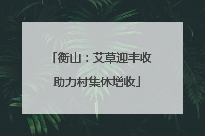 衡山：艾草迎丰收 助力村集体增收