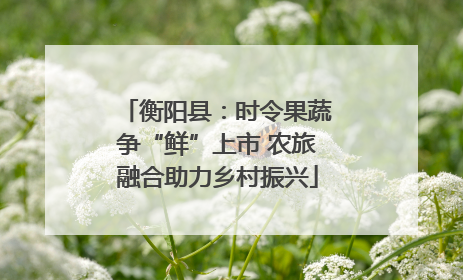 衡阳县：时令果蔬争“鲜”上市 农旅融合助力乡村振兴