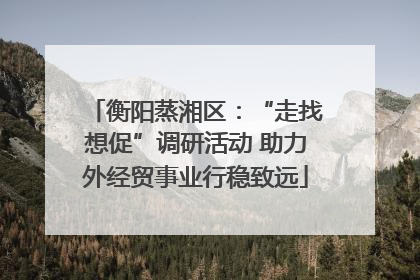 衡阳蒸湘区：“走找想促”调研活动 助力外经贸事业行稳致远