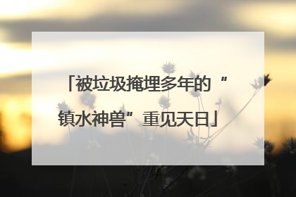 被垃圾掩埋多年的“镇水神兽”重见天日