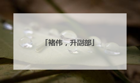 褚伟，升副部