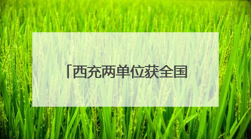 西充两单位获全国精神文明建设大奖