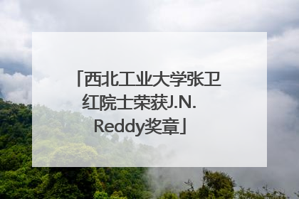 西北工业大学张卫红院士荣获J.N.Reddy奖章