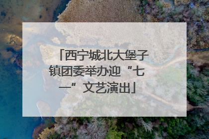 西宁城北大堡子镇团委举办迎“七一”文艺演出