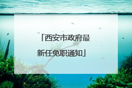 西安市政府最新任免职通知