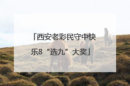 西安老彩民守中快乐8“选九”大奖