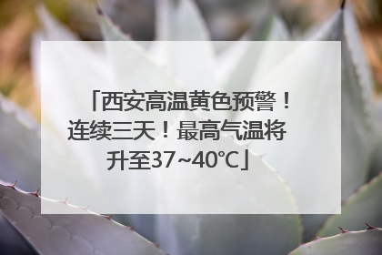 西安高温黄色预警！连续三天！最高气温将升至37~40℃