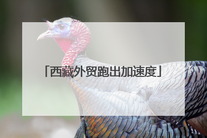 西藏外贸跑出加速度