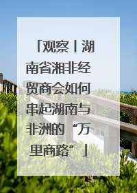 观察丨湖南省湘非经贸商会如何串起湖南与非洲的“万里商路”