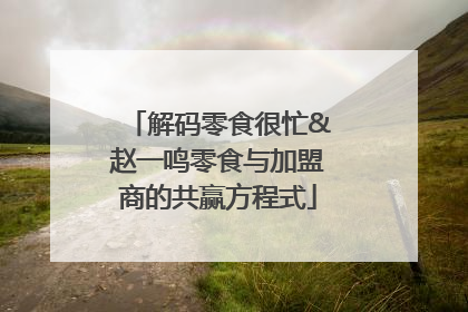 解码零食很忙&赵一鸣零食与加盟商的共赢方程式