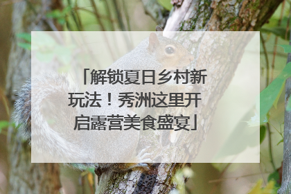 解锁夏日乡村新玩法！秀洲这里开启露营美食盛宴