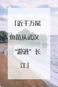 近千万尾鱼苗从武汉“游进”长江