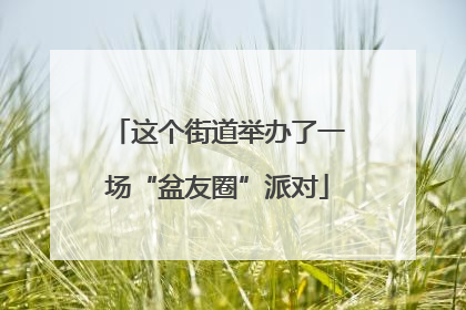 这个街道举办了一场“盆友圈”派对