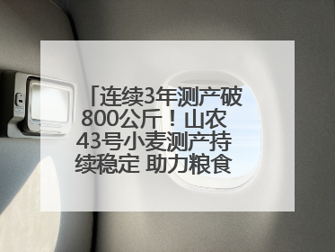 连续3年测产破800公斤！山农43号小麦测产持续稳定 助力粮食增产丰收