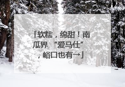 软糯，绵甜！南瓜界 “爱马仕”，峪口也有→
