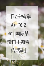 辽宁省举办“6·26”国际禁毒日主题宣传活动