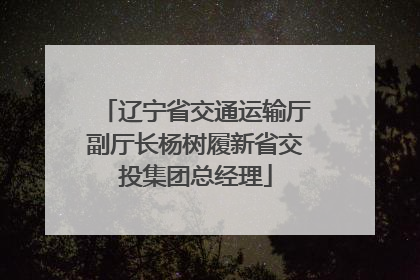 辽宁省交通运输厅副厅长杨树履新省交投集团总经理
