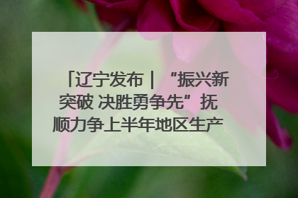 辽宁发布｜“振兴新突破 决胜勇争先”抚顺力争上半年地区生产总值增长7%左右