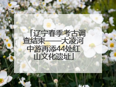 辽宁春季考古调查结束——大凌河中游再添44处红山文化遗址
